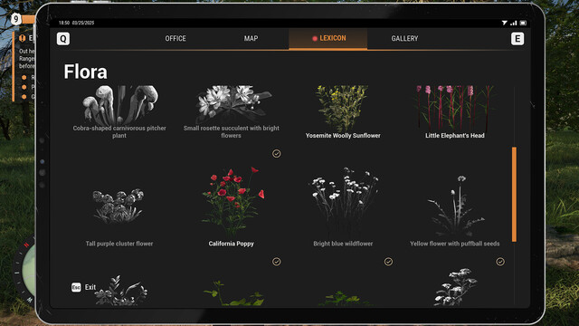 Ranger’s Path: National Park Simulato