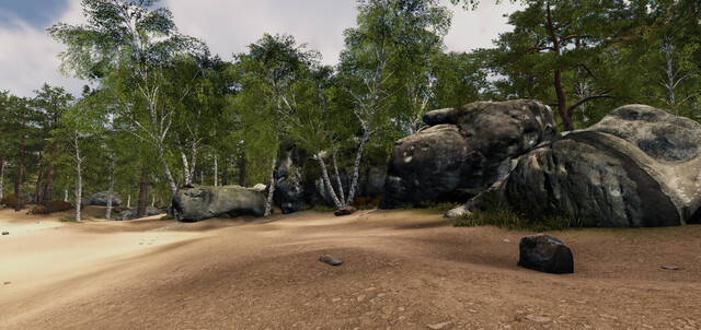 New Heights: Realistic Climbing and Bouldering