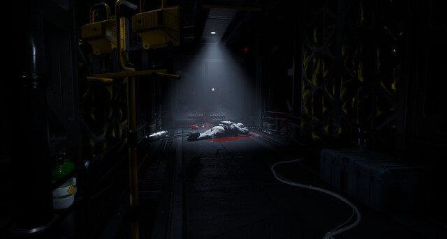 The Dark Curiosity