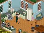The Sims