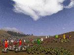 Medieval: Total War
