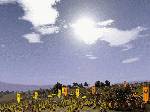 Medieval: Total War
