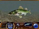 Matt Hayes' Fishing