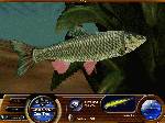 Matt Hayes' Fishing