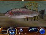 Matt Hayes' Fishing