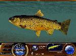 Matt Hayes' Fishing