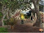 Voodoo Islands