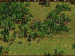 Cossacks - Back to War