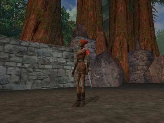 Dark Age of Camelot: Shrouded Isles