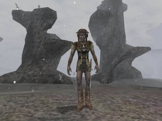 Dark Age of Camelot: Shrouded Isles