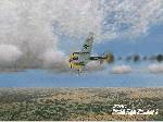 Combat Flight Simulator 3