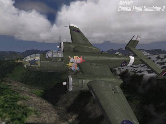 Combat Flight Simulator 3