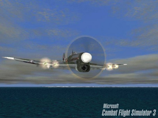 Combat Flight Simulator 3