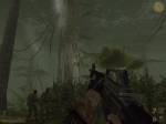 Az esőerdő szépségei - Vietcong