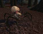 Warhammer Online: Age of Reckoning