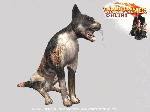 Warhammer Online: Age of Reckoning