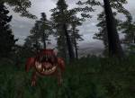 Warhammer Online: Age of Reckoning