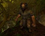 Warhammer Online: Age of Reckoning