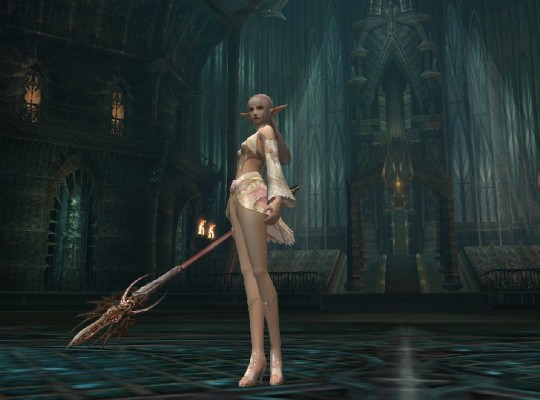 Lineage II: The Chaotic Chronicle