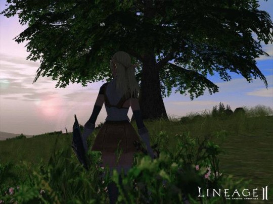 Lineage II: The Chaotic Chronicle