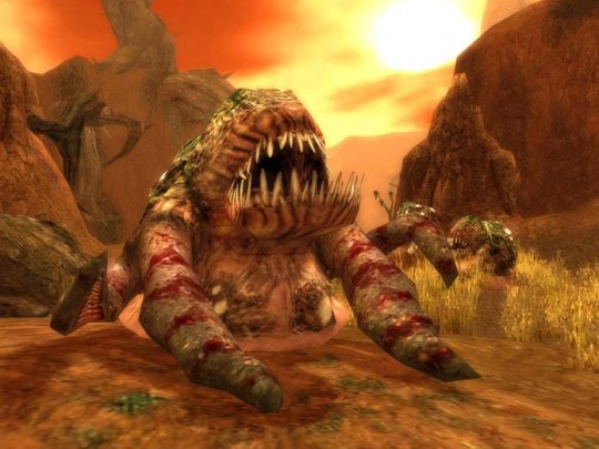 Guild Wars