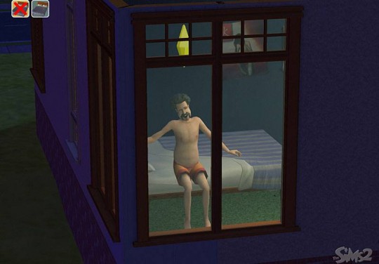 The Sims 2