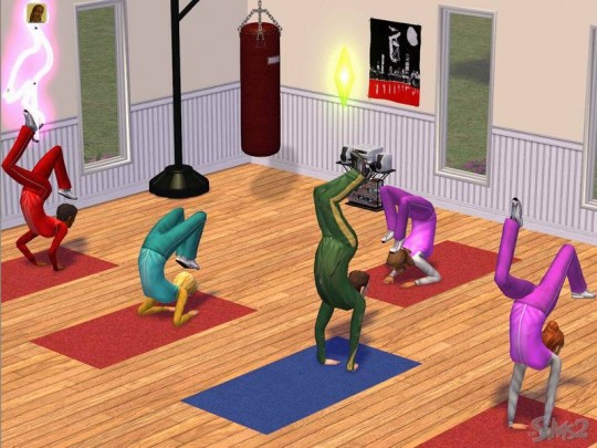 The Sims 2