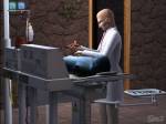The Sims 2