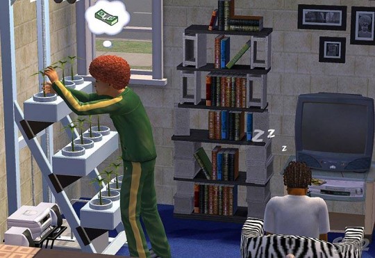 The Sims 2