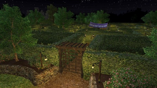 Lord of the Rings Online: Shadows of Angmar