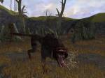 Lord of the Rings Online: Shadows of Angmar
