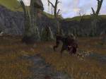 Lord of the Rings Online: Shadows of Angmar