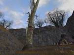 Lord of the Rings Online: Shadows of Angmar