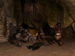 Lord of the Rings Online: Shadows of Angmar
