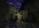 Lord of the Rings Online: Shadows of Angmar