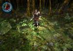 The Bard's Tale