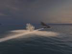 Silent Hunter III