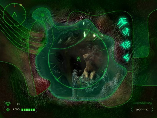 Operation: Matriarchy