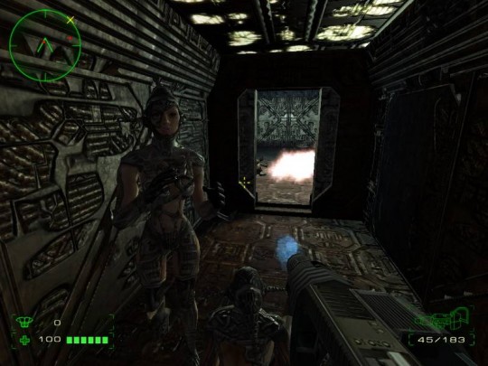 Operation: Matriarchy