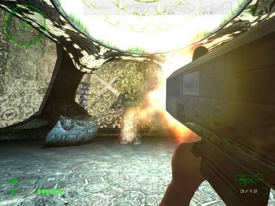 Operation: Matriarchy