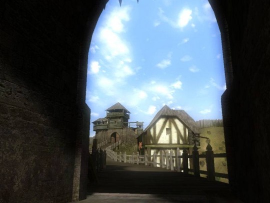 The Witcher