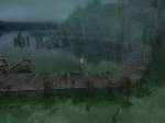 The Witcher