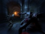 The Witcher