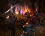 The Witcher