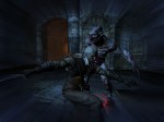 The Witcher