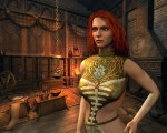 The Witcher