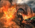The Witcher