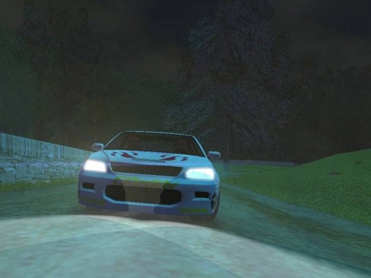 Euro Rally Champion