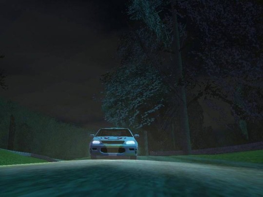Euro Rally Champion