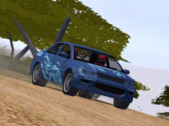 Euro Rally Champion